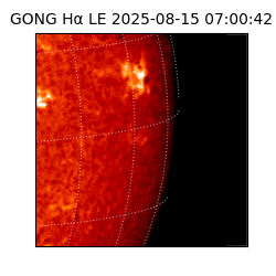gong - 2025-08-15T07:00:42