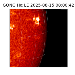 gong - 2025-08-15T08:00:42