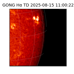 gong - 2025-08-15T11:00:22