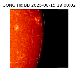 gong - 2025-08-15T19:00:02