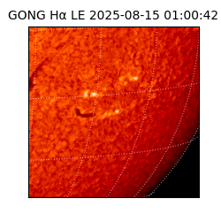 gong - 2025-08-15T01:00:42