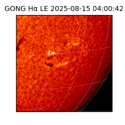 gong - 2025-08-15T04:00:42