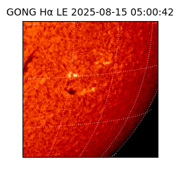 gong - 2025-08-15T05:00:42