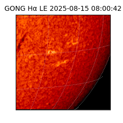 gong - 2025-08-15T08:00:42