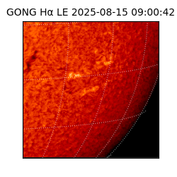 gong - 2025-08-15T09:00:42