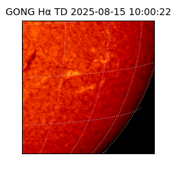 gong - 2025-08-15T10:00:22