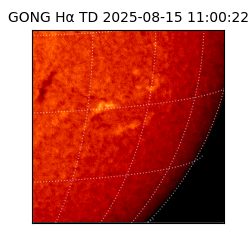 gong - 2025-08-15T11:00:22