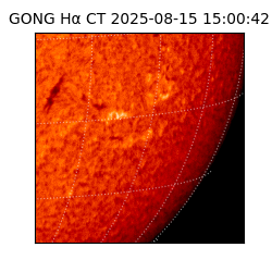 gong - 2025-08-15T15:00:42
