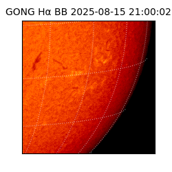 gong - 2025-08-15T21:00:02
