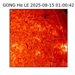 gong - 2025-08-15T01:00:42