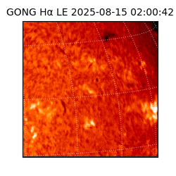 gong - 2025-08-15T02:00:42