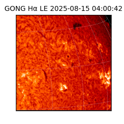 gong - 2025-08-15T04:00:42