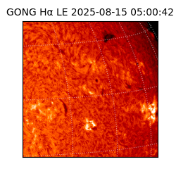 gong - 2025-08-15T05:00:42