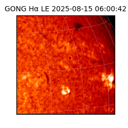 gong - 2025-08-15T06:00:42