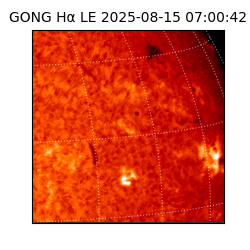 gong - 2025-08-15T07:00:42