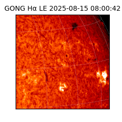 gong - 2025-08-15T08:00:42