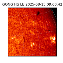 gong - 2025-08-15T09:00:42