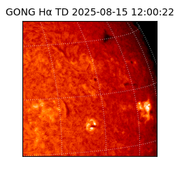 gong - 2025-08-15T12:00:22