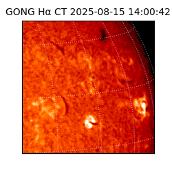 gong - 2025-08-15T14:00:42