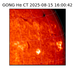 gong - 2025-08-15T16:00:42