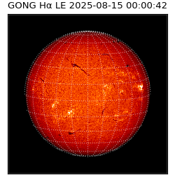 gong - 2025-08-15T00:00:42