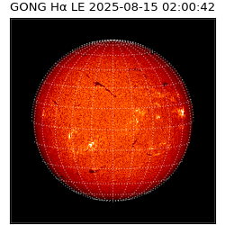 gong - 2025-08-15T02:00:42