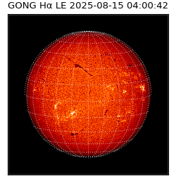 gong - 2025-08-15T04:00:42