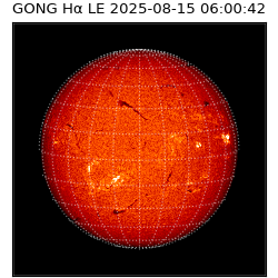 gong - 2025-08-15T06:00:42
