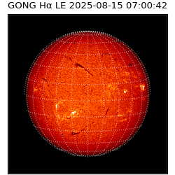 gong - 2025-08-15T07:00:42