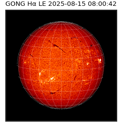 gong - 2025-08-15T08:00:42