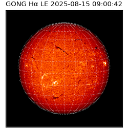 gong - 2025-08-15T09:00:42
