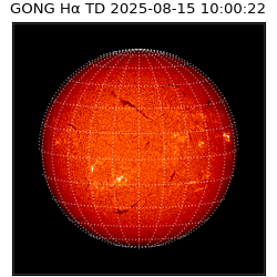 gong - 2025-08-15T10:00:22