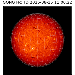 gong - 2025-08-15T11:00:22