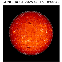 gong - 2025-08-15T18:00:42
