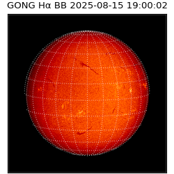 gong - 2025-08-15T19:00:02