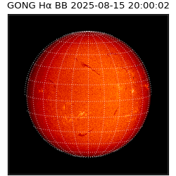gong - 2025-08-15T20:00:02