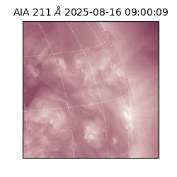 saia - 2025-08-16T09:00:09.630000