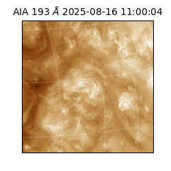 saia - 2025-08-16T11:00:04.843000