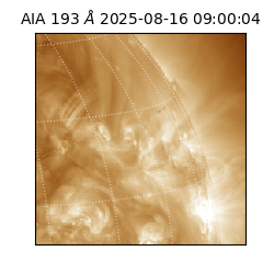 saia - 2025-08-16T09:00:04.844000