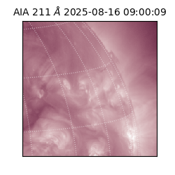 saia - 2025-08-16T09:00:09.630000