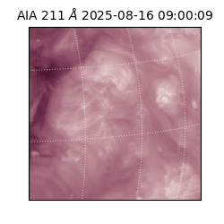 saia - 2025-08-16T09:00:09.630000