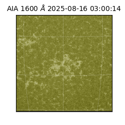 saia - 2025-08-16T03:00:14.117000