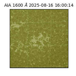 saia - 2025-08-16T16:00:14.125000