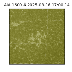 saia - 2025-08-16T17:00:14.126000