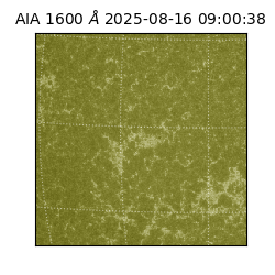 saia - 2025-08-16T09:00:38.131000