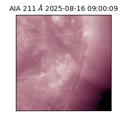 saia - 2025-08-16T09:00:09.630000