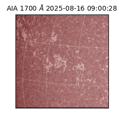 saia - 2025-08-16T09:00:28.717000