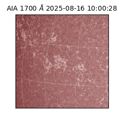 saia - 2025-08-16T10:00:28.725000