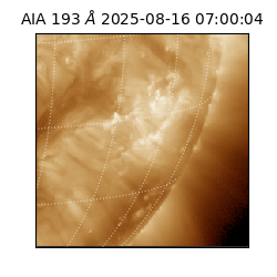 saia - 2025-08-16T07:00:04.846000