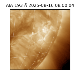 saia - 2025-08-16T08:00:04.836000